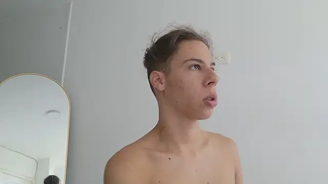 grey___27 webcam
