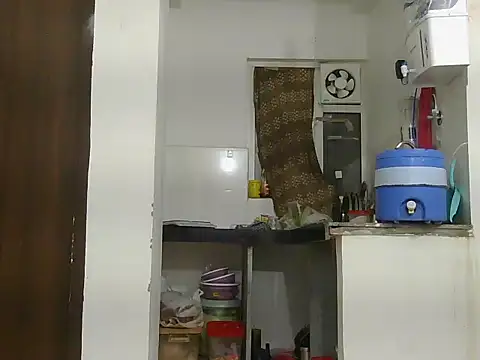 payaljaan800 webcam