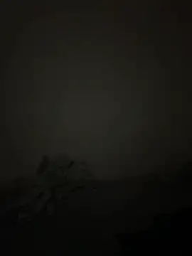 bigdick211292 webcam