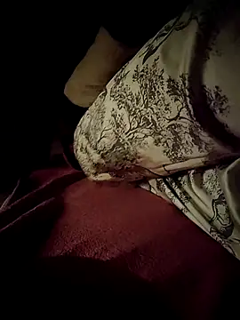 -Tara-a webcam