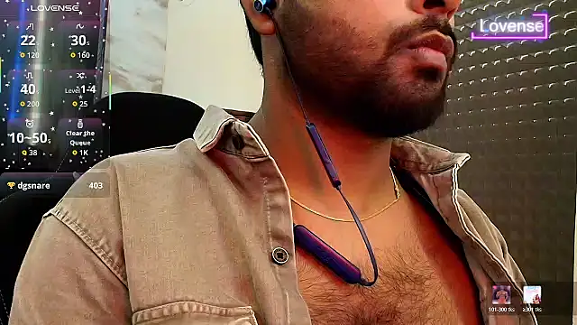 SilverShade3 webcam