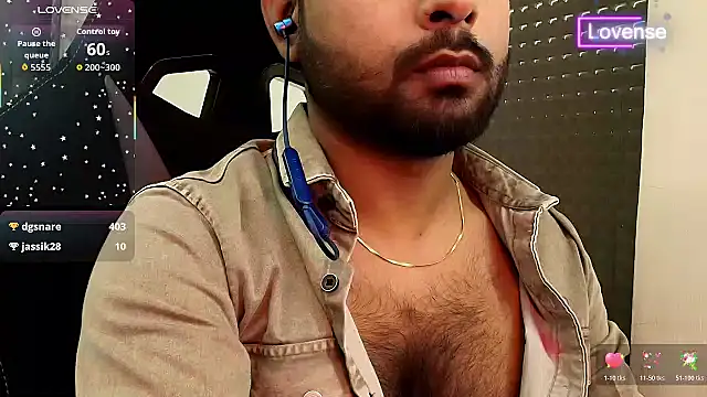 SilverShade3 webcam