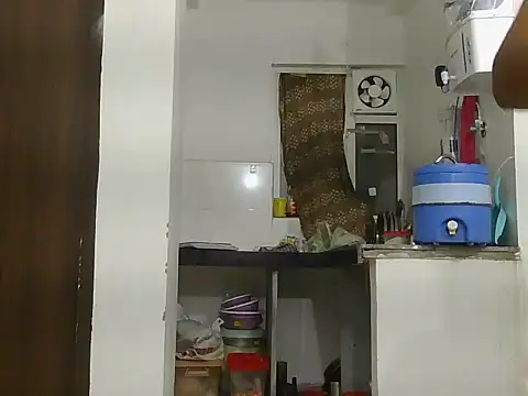 payaljaan800 webcam