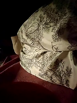 -Tara-a webcam