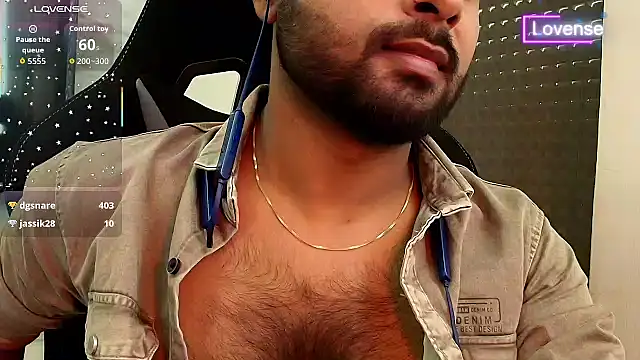 SilverShade3 webcam