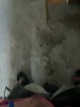 FATdadDicK live sex cam