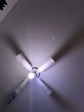 Cnutt310 webcam