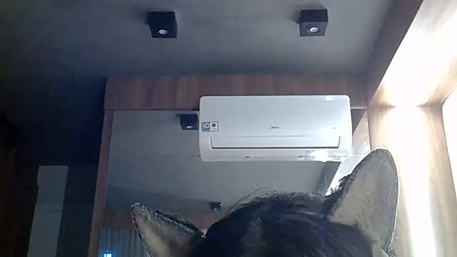 SkinnyKitten live cam on StripChat