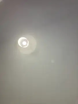 IrisBlues webcam
