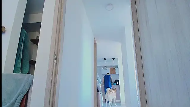 thomas_gun webcam