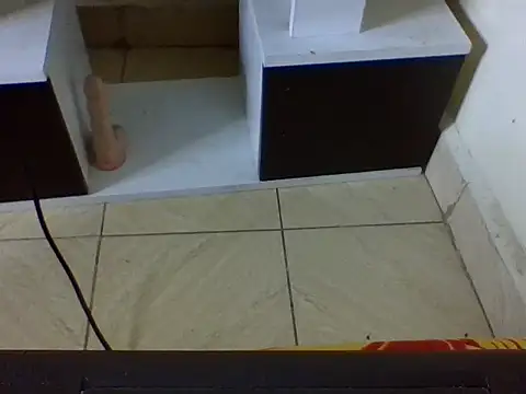 Sexyvishyy webcam
