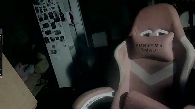 Green_angel webcam