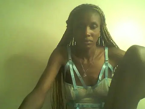 DelteAfriq webcam