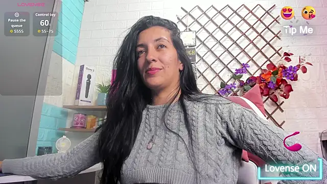 SALOME_KORLAND webcam
