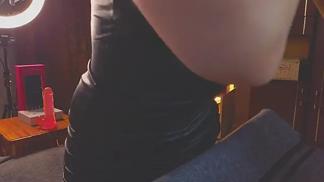 sinteas webcam