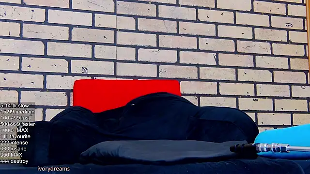 IvoryDreams webcam
