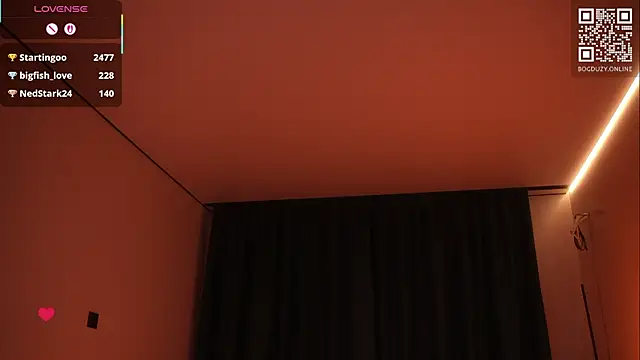 bogduzy webcam