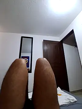 prototipoA45 webcam