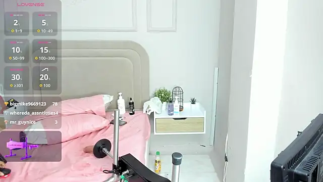 Liastarkk webcam