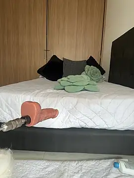 Nicollemays webcam