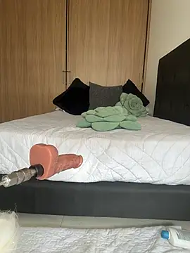 Nicollemays webcam