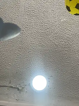 Bell_Mariny webcam