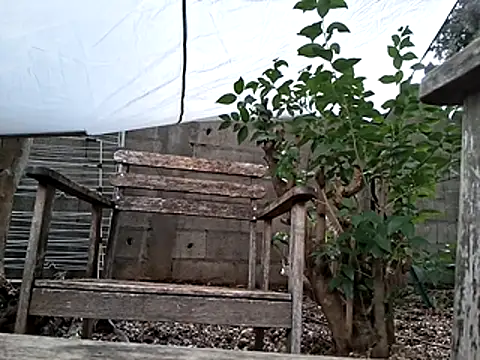 SexMachineMaks live sex cam