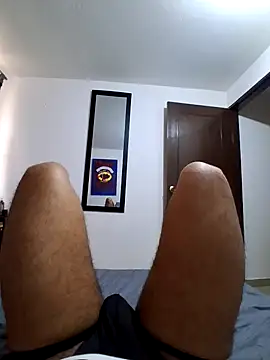 prototipoA45 webcam