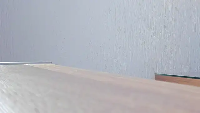 noa_11x webcam