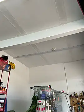 Paul22cm- live cam on StripChat