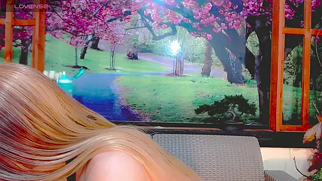 britanny_noroeste webcam