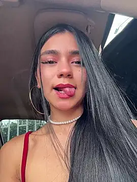 Dakota-fire webcam