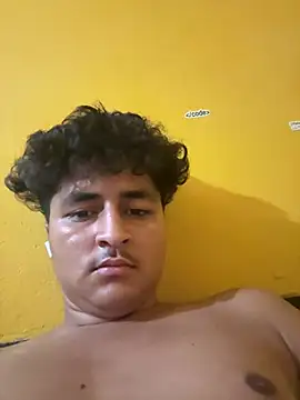 cannonWithMuscles webcam