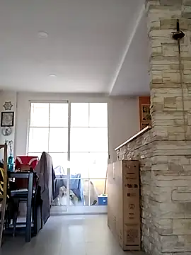 LoGanDiamond
