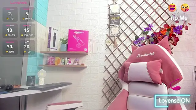 SALOME_KORLAND webcam