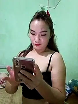 Voiva11 webcam