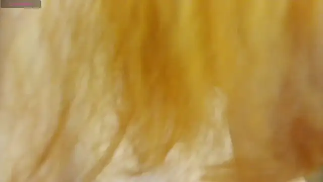 -Rin-Chan webcam
