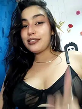 hancock-boa webcam