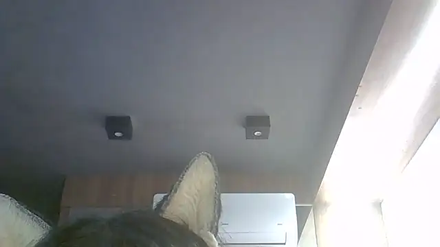 SkinnyKitten webcam