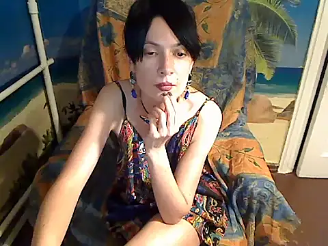 Bastet12 webcam