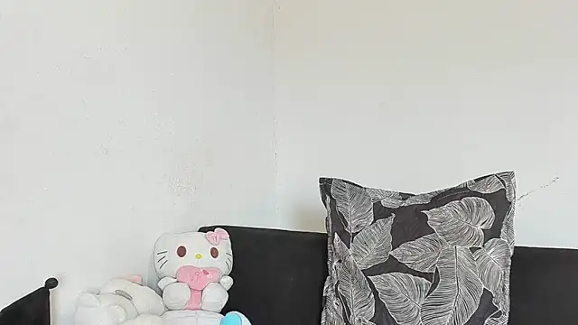 Eirlysx webcam