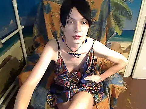 Bastet12 webcam
