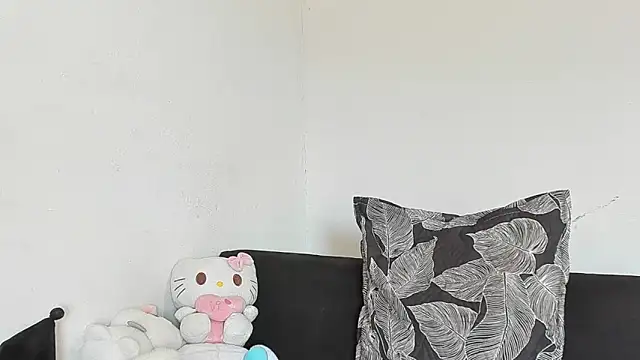Eirlysx webcam