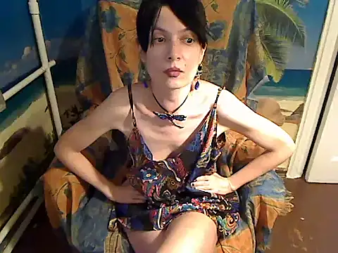 Bastet12 webcam