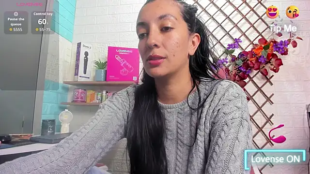 SALOME_KORLAND webcam