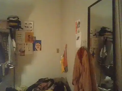 plsmecha webcam