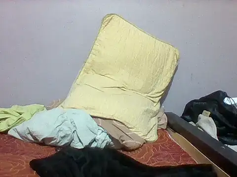 mislover webcam