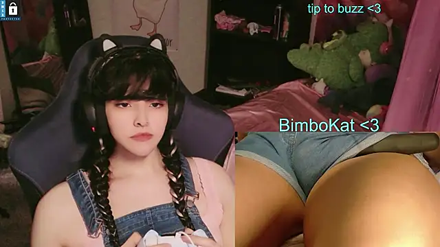 BimboCat webcam