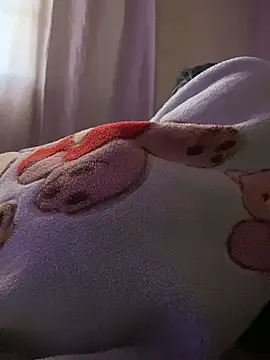 Bruno_Lima_Francisco webcam