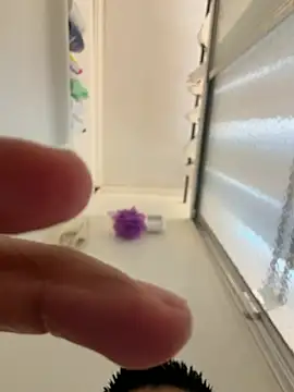 coronx webcam